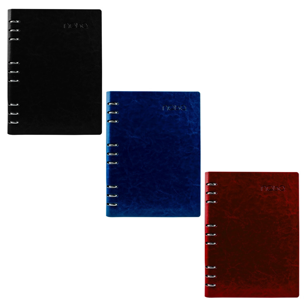 Agenda organizer B5, 100 file detasabile, inele metalice, hartie 80g /mp, coperta piele eco, 20.8x2.5x27 cm - imagine 6